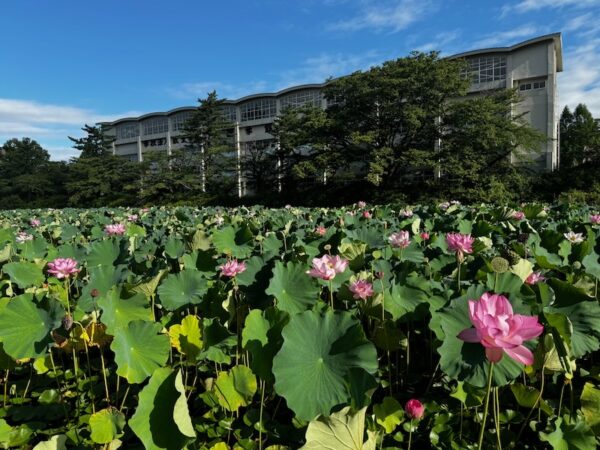 千秋公園