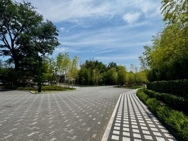 広い