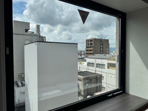 眺め