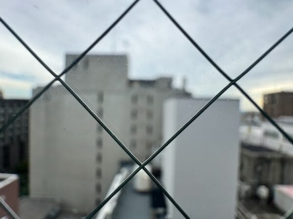 眺め