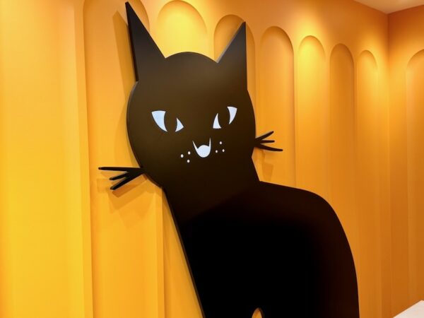 ねこちゃん