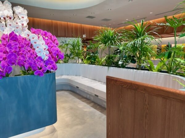 ラウンジ内客席