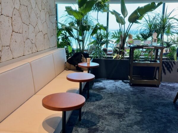 ラウンジ内客席