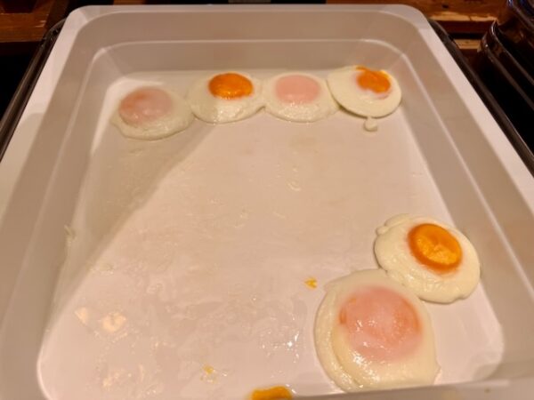 目玉焼き