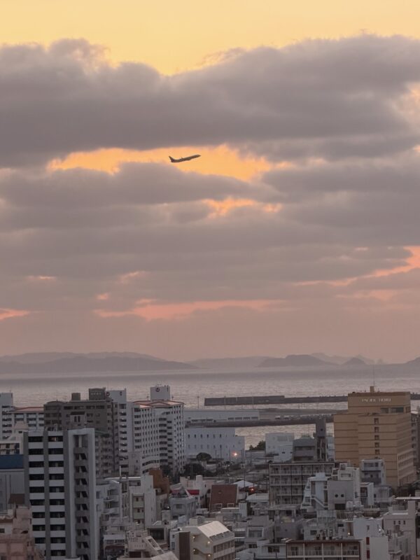 飛行機