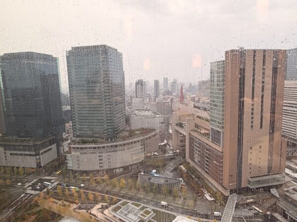 雨降り